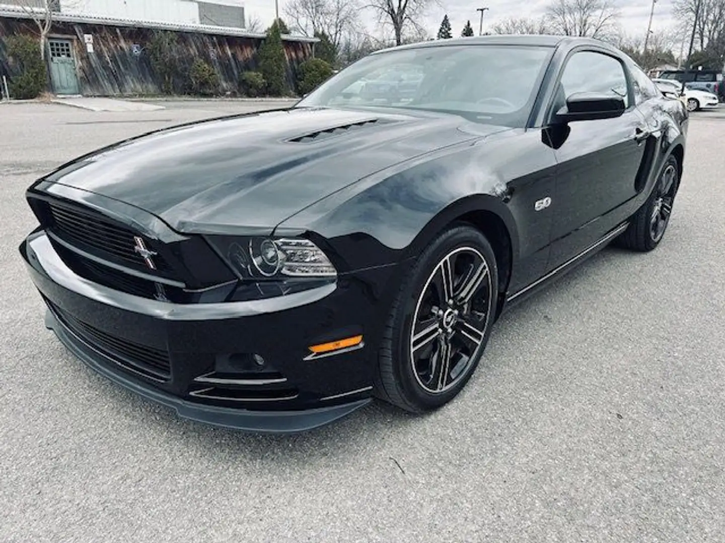 Ford Mustang GT/CS V8 5,0L BOITE 6 VITESSES 50500 KM Noir - 1