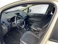 Ford EcoSport 1.0 Ecoboost 125cv Titanium S Bianco - thumbnail 9