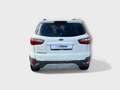 Ford EcoSport 1.0 Ecoboost 125cv Titanium S Bianco - thumbnail 4