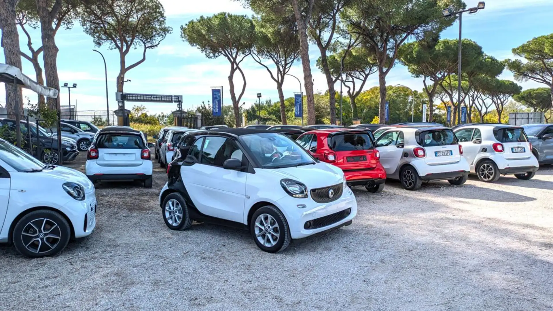 smart forTwo 1.0cc 71cv Bianco - 1