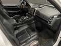 Porsche Cayenne Diesel Blanco - thumbnail 28