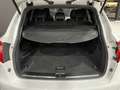 Porsche Cayenne Diesel Blanco - thumbnail 21
