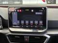 SEAT Leon 1.5 TSI 116 CV FR PRONTA CONSEGNA DA 99€ AL MESE! - thumbnail 16