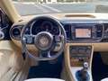 Volkswagen Beetle 2.0TDI Connection 110 Negro - thumbnail 7