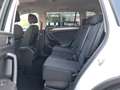 Volkswagen Tiguan Allspace - HUD - ASSISTS - VIRTUAL - AHK Weiß - thumbnail 13