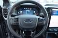 Ford Ranger Platinum Laderaumrollo el. 3,99% FIN mgl* Gris - thumbnail 27