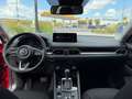 Mazda CX-5 2.5 (194PS) Autom. AdVantage Sitzheizung Na Rosso - thumbnail 13