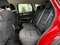 Mazda CX-5 2.5 (194PS) Autom. AdVantage Sitzheizung Na Rosso - thumbnail 12