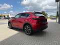 Mazda CX-5 2.5 (194PS) Autom. AdVantage Sitzheizung Na Rosso - thumbnail 6