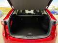 Mazda CX-5 2.5 (194PS) Autom. AdVantage Sitzheizung Na Rosso - thumbnail 14