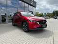 Mazda CX-5 2.5 (194PS) Autom. AdVantage Sitzheizung Na Rosso - thumbnail 10