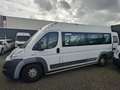 Fiat Ducato FIAT DUCATO 3.0 995.- INCL BTW 7-PERSOONS ROLSTOEL White - thumbnail 2