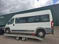 Fiat Ducato FIAT DUCATO 3.0 995.- INCL BTW 7-PERSOONS ROLSTOEL White - thumbnail 3