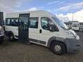 Fiat Ducato FIAT DUCATO 3.0 995.- INCL BTW 7-PERSOONS ROLSTOEL White - thumbnail 6