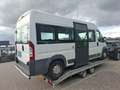 Fiat Ducato FIAT DUCATO 3.0 995.- INCL BTW 7-PERSOONS ROLSTOEL White - thumbnail 4