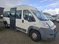 Fiat Ducato FIAT DUCATO 3.0 995.- INCL BTW 7-PERSOONS ROLSTOEL White - thumbnail 7