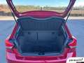 SEAT Ibiza 5 Porte 1.0 EcoTSI Business Rosso - thumbnail 16