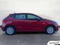 SEAT Ibiza 5 Porte 1.0 EcoTSI Business Rosso - thumbnail 7