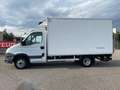 Iveco Daily 35 C13*LBW DHOLLANDIA*Klima*Tempomat* Weiß - thumbnail 2
