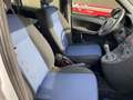 Fiat Panda 1.2 Dynamic Silber - thumbnail 16