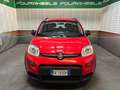 Fiat Panda Panda III 2021 1.0 firefly hybrid Sport s Rosso - thumbnail 1