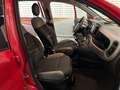Fiat Panda Panda III 2021 1.0 firefly hybrid Sport s Rosso - thumbnail 10