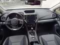 Subaru XV 1,6I CVT Navi Style Weiß - thumbnail 17