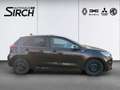 Kia Rio 1.4 Dream Team Braun - thumbnail 5