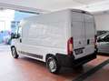 Peugeot Boxer Blanc - thumbnail 7