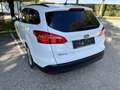 Ford Focus 1.6 Ti-VCT Trend Weiß - thumbnail 2