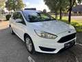 Ford Focus 1.6 Ti-VCT Trend Weiß - thumbnail 4