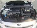 Kia XCeed XCEED 1.4 T-GDI DCT7 SPIRIT NAVI XCLUSIVE Bianco - thumbnail 16