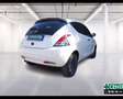 Lancia Ypsilon 1.0 firefly hybrid Platino s&s 70cv Bianco - thumbnail 7