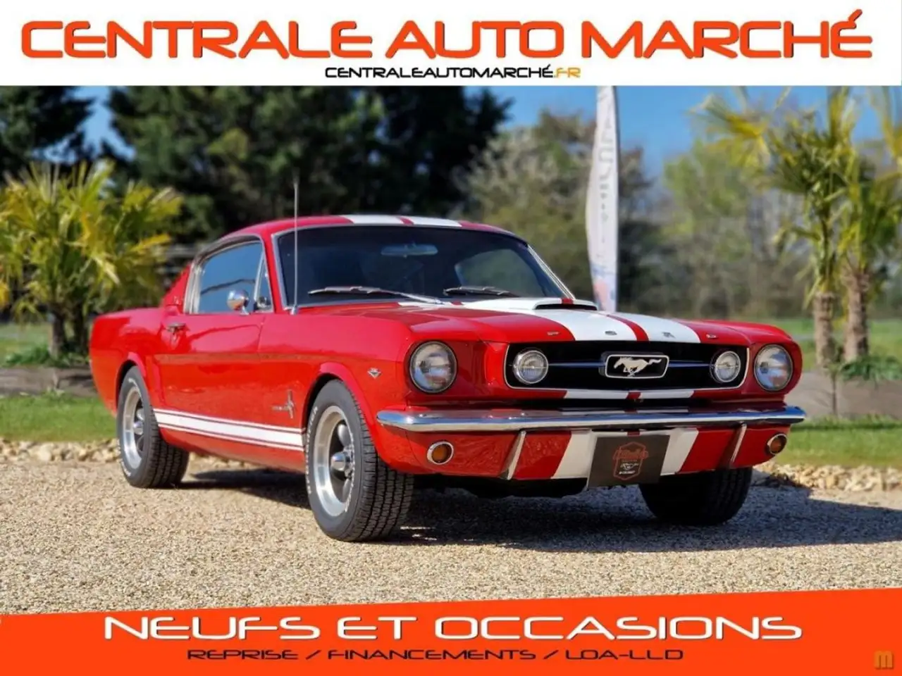 Ford Mustang FASTBACK 289 CI V8 1965 ROUGE BANDES BLANCHES, foto 1