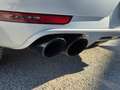 Porsche Macan Macan S 3.0 DIESEL PDK  -FULL OPTIONAL - Weiß - thumbnail 20