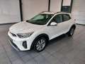 Kia Stonic 1.0 T-GDI Vision Carplay|CAM|Sitzhzg.|DAB Weiß - thumbnail 3