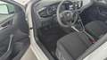 Volkswagen Polo Comfortline TSI OPF Weiß - thumbnail 12