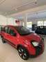 Fiat Panda Panda 1.0 FireFly S&S Hybrid City Cross Rosso - thumbnail 2
