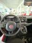 Fiat Panda Panda 1.0 FireFly S&S Hybrid City Cross Rosso - thumbnail 7