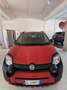 Fiat Panda Panda 1.0 FireFly S&S Hybrid City Cross Rosso - thumbnail 3