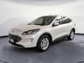 Ford Kuga 1.5 ecoblue Titanium 2wd 120cv Blanc - thumbnail 1