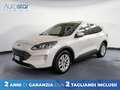 Ford Kuga 1.5 ecoblue Titanium 2wd 120cv Blanc - thumbnail 1