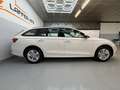 Skoda Octavia Combi Ambition 2,0 TDI DSG SITZHZG APP PDC TEMP Weiß - thumbnail 10