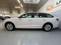 Skoda Octavia Combi Ambition 2,0 TDI DSG SITZHZG APP PDC TEMP Weiß - thumbnail 11