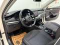 Skoda Octavia Combi Ambition 2,0 TDI DSG SITZHZG APP PDC TEMP Weiß - thumbnail 16