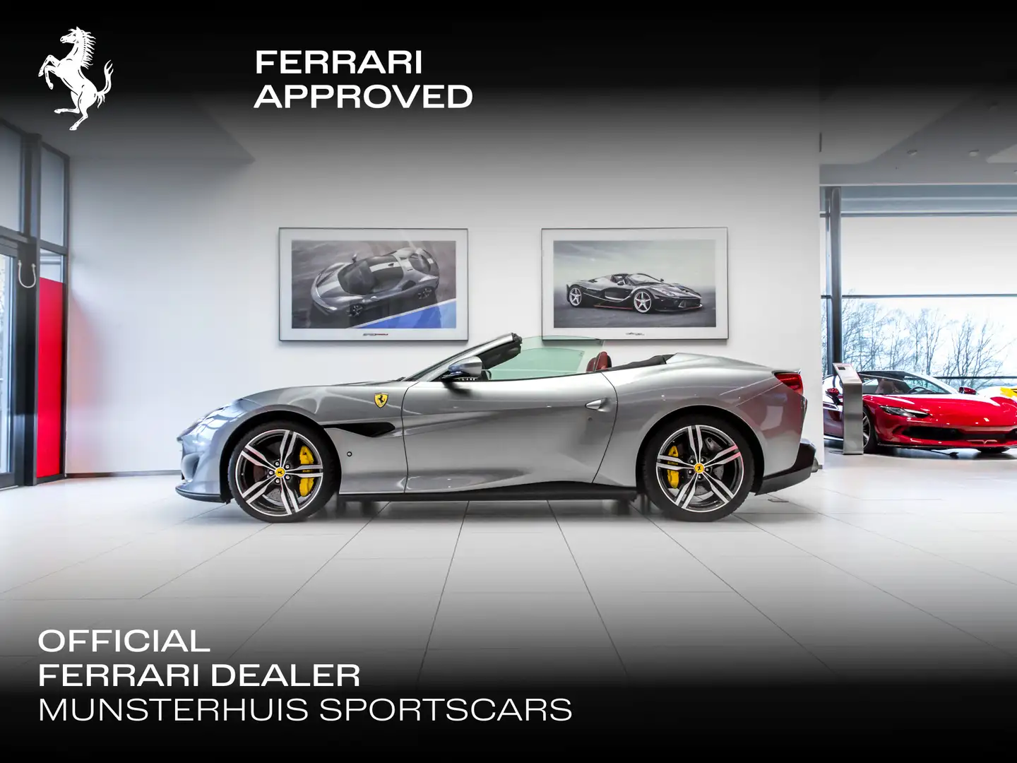 Ferrari Portofino ~Ferrari Munsterhuis~ Szary - 1