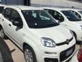 Fiat Panda 0.9 t.air t. natural power Easy 70cv - thumbnail 2