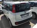 Fiat Panda 0.9 t.air t. natural power Easy 70cv - thumbnail 4