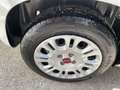 Fiat Panda 1.0 firefly hybrid s&s 70cv - thumbnail 8