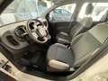 Fiat Panda 1.0 firefly hybrid s&s 70cv - thumbnail 13